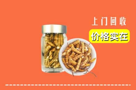 长沙开福区回收散虫草