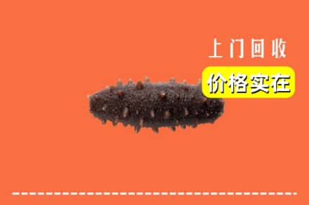 长沙开福区回收海参
