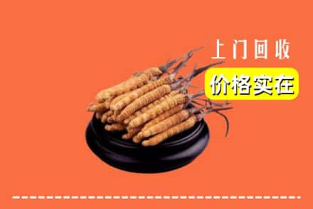长沙开福区回收冬虫夏草